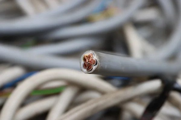 Nahaufnahme eines abgeschnittenen Kabels mit sichtbaren Kupferdrähten, unscharfer Hintergrund.
